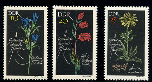 Image du document.